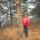 대황강 자연휴식공원 이미지