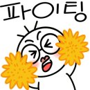 와일드복싱짐 안양관 이미지