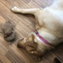 도담 손 안마원 이미지