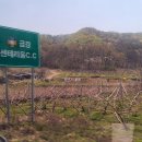 센테리움CC[금강센테리움(주)] 이미지