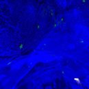 좌천동굴 이미지