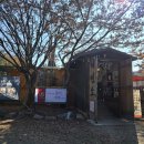 [내돈내산] 시흥 이루다제면소 본점 (추천메뉴)