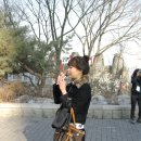 (주)아름여행사