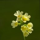 가은요양원 이미지