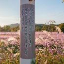 탑정호가 이미지