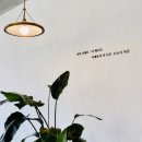 커피더새로(coffee the sero)
