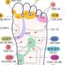 동백공원 생태 이미지