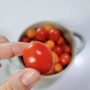 정양농장 이미지