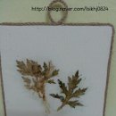 숲속둥지어린이집 이미지