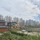 허왕후 오리명가 이미지