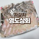 자갈치시장 횟집 추천 영도상회 남포점 포장 리얼후기