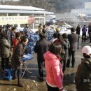 북삼친환경참외연구회 이미지