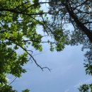 성자골3 이미지