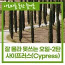 조이플마인드케어