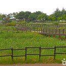 주식회사 조아 이미지