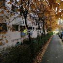 삼작로 410번길 이미지