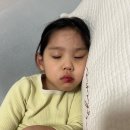 무산유치원 | 5세 앞니빠짐 유치빠짐 어린이집 넘어짐 사고 / 안전공제회 보상 / 골절진단금(치아파절포함)