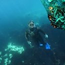 전가복(全家福) 이미지