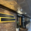 미미샤브앤월남쌈 | 시흥 배곧 신도시 샤브샤브 맛집 소담촌 배곧점 월남쌈 버섯샤브