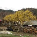 대평1리마을회관 이미지