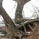 금강고을 이미지