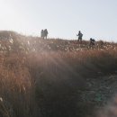 걷기지도사(야간) 이미지