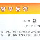 센텀태양부동산공인중개사사무소 이미지