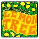 레몬트리(lemon tree) 네이버블로그