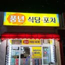 속초 브루스타 | [속초/맛집] 현지인 맛집 추천 풍년 식당 포차 내돈내산