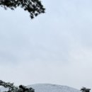 원터목장 이미지