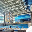 남해-295 | 여수 디오션 워터파크 솔직 후기 롯데워터파크 캐리비안베이 다니다 가니 작게 느껴졌지만 있을 건 다...