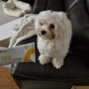 중문덴탈 이미지