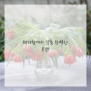 타이어프로 이미지