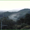 치마골농장 이미지