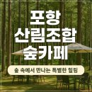 산림조합 1층 | 포항 산림조합 숲카페 방문 후기, 숲속에서 만나는 특별한 힐링