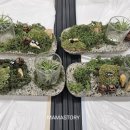 안성시금광면보건지소 | 유리화기만들기 안중보건지소주관 건강지도사 양성...후기 기관출강 평택공방 안성공방 안성외부출강...