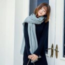 에버그린 이미지