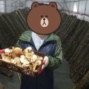 92팜 네이버블로그