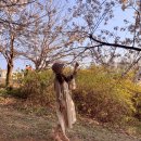 호서목장 이미지