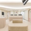 동수동물병원 | 동수역 동물병원 고양이 발작, 간질과 경련은 어떻게 구분하나요?