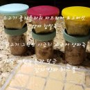 캐나다이레학원 | [캐나다육아] 261-280 9개월 운동발달/ 언어발달/ 이유식 &amp; 알러지체크/ 소아과검진/ 열심히놀아요