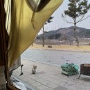 남면사무소 | 춘천 리버뷰✨ 리버위드 글램핑 내돈내산 솔직 후기