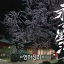 짬뽕로맨스
