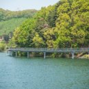덕산저수지 네이버블로그