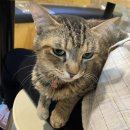 GS25구교점 | 2021년 7월 기록