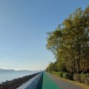 갈맷길 5코스 5-1구간 | 부산 갈맷길 5코스 1구간 낙동강 하굿둑 ~ 신호항 2025년 11월 15일 토요일