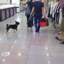 신포지하상가