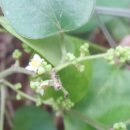 대가식당 이미지