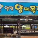 양평양떼목장 이미지