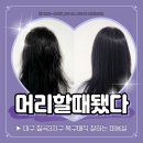 머리할때됐다 | 칠곡3지구복구매직 잘하는 미용실 머리할때됐다
